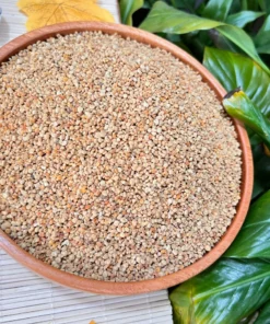 Phấn hoa cà phê 9 Tệp 69