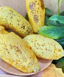 Tổ ong ruồi thiên nhiên ngon vàng đẹp 17 Tệp 64