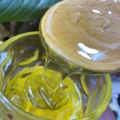 Mật ong hoa bạc hà 10 Tệp 178