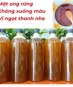 Mật ong hoa rừng Tây Nguyên, hương vị hoa rừng vị ngọt thanh nhẹ 9 Combo 3 Lít Mật Ong Hoa Rừng Tây Nguyên (4)