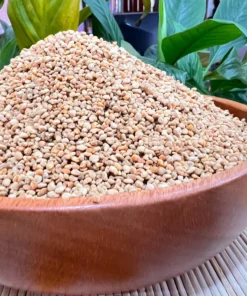 Phấn hoa cà phê 12 Tệp 49