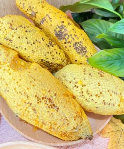 Tổ ong ruồi thiên nhiên ngon vàng đẹp 11 Tệp 8