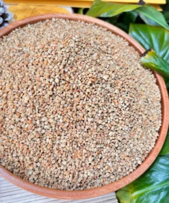 Phấn hoa cà phê 13 Tệp 52