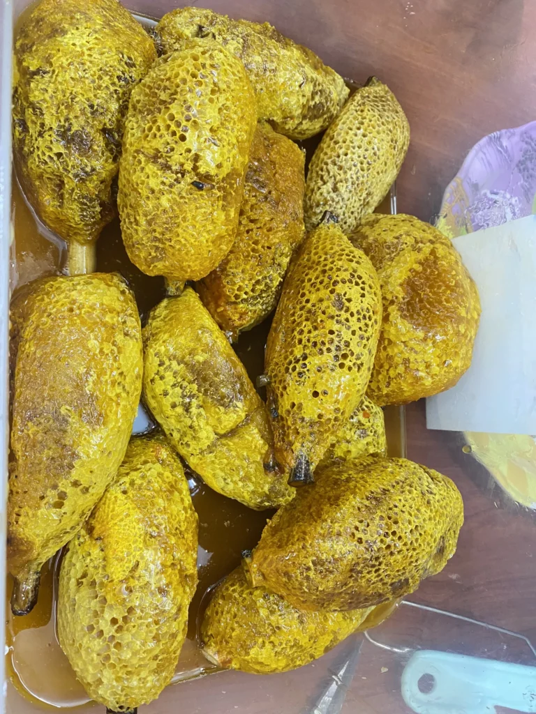 Z3571648682055_e56b95d11489eb7968e1930f08fa4c3a