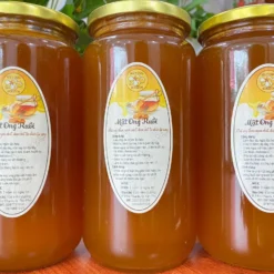 Mật ong ruồi thiên nhiên 12 Z5503605371241_a5ae4a0e81ea54d172a0d50ca48ba55a