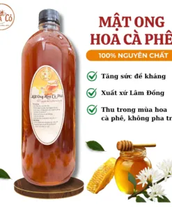 mật ong hoa cà phê nguyên chất