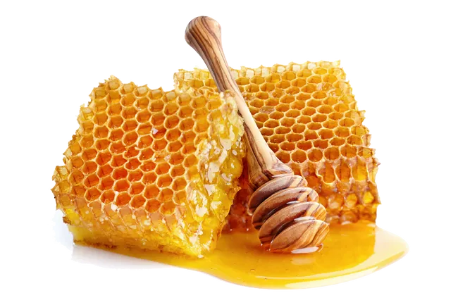 6 lưu ý cần thiết khi dùng mật ong 8 Mat Ong Nuoi Va Mat Ong Rung 2