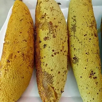 Tổ ong ruồi thường được làm tổ ở đâu? 8 Mat Ong Ruoi Rung_a2bafe618ef04c3987fe9408037c5c01