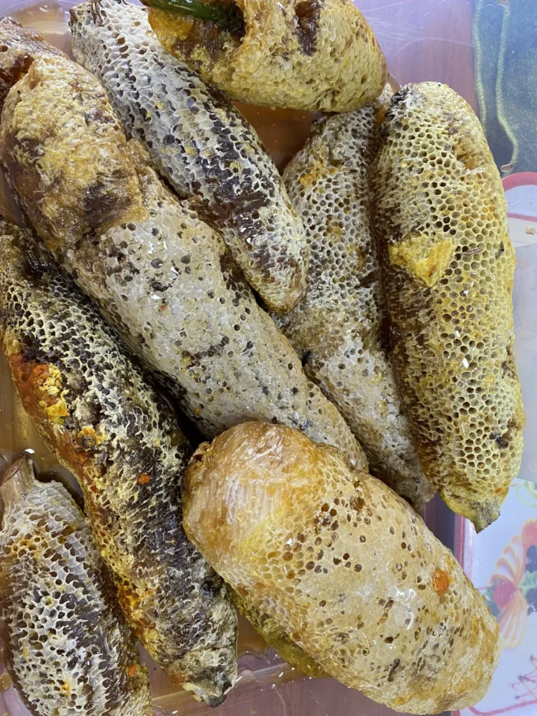 Z3263706060539_9a3af05eff5d2392e9cb95b085176468