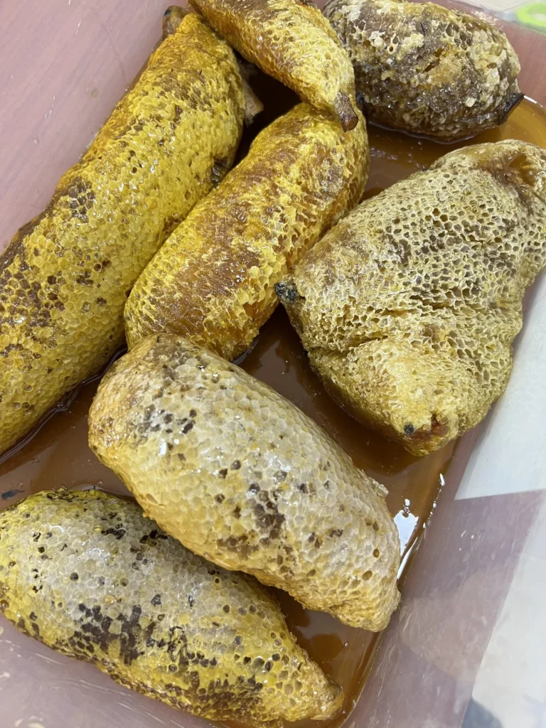 Tổ ong ruồi khi ngâm rượu sẽ có tác dụng gì ? 4 Z3330191571867_c77b3e97dd73eb7e002c4a0214123fc8