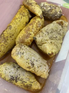 Z3330191665319_4897d1bef0cb625508aa5330c583015f