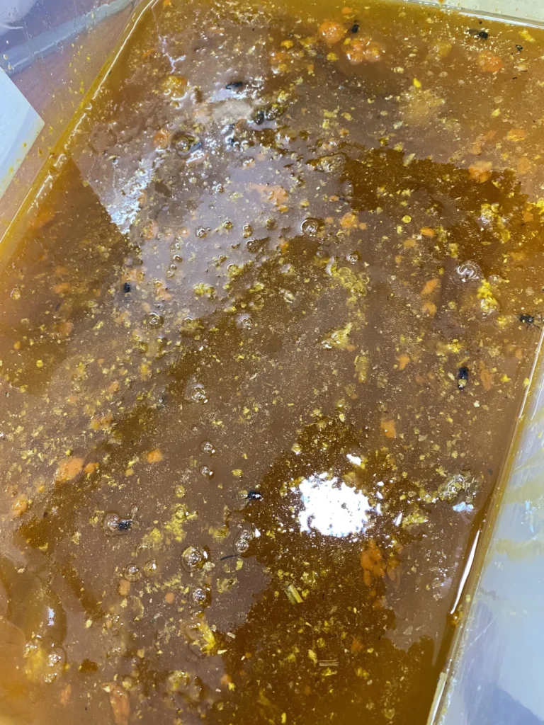 Tìm hiểu mật ong Rừng tự nhiên 6 Z3362425790895_366eb2375d8c4d3e98769189e6604313 1