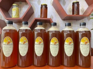 274825101_1427302491017623_2212942128875634227_n