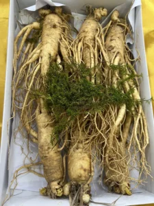 Z3459612145220_c63de4e211e34d1e6251d88352e1907e