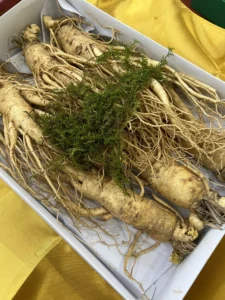 Z3459612168381_33e4aa10f7816cc88c586ebf67363591