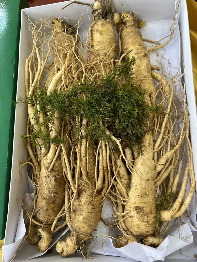 Tại sao nhân sâm được sử dụng phổ biến và được coi là “thần dược”? 7 Z3459612172612_27c6a62378e589f169a7abbff9a3c998