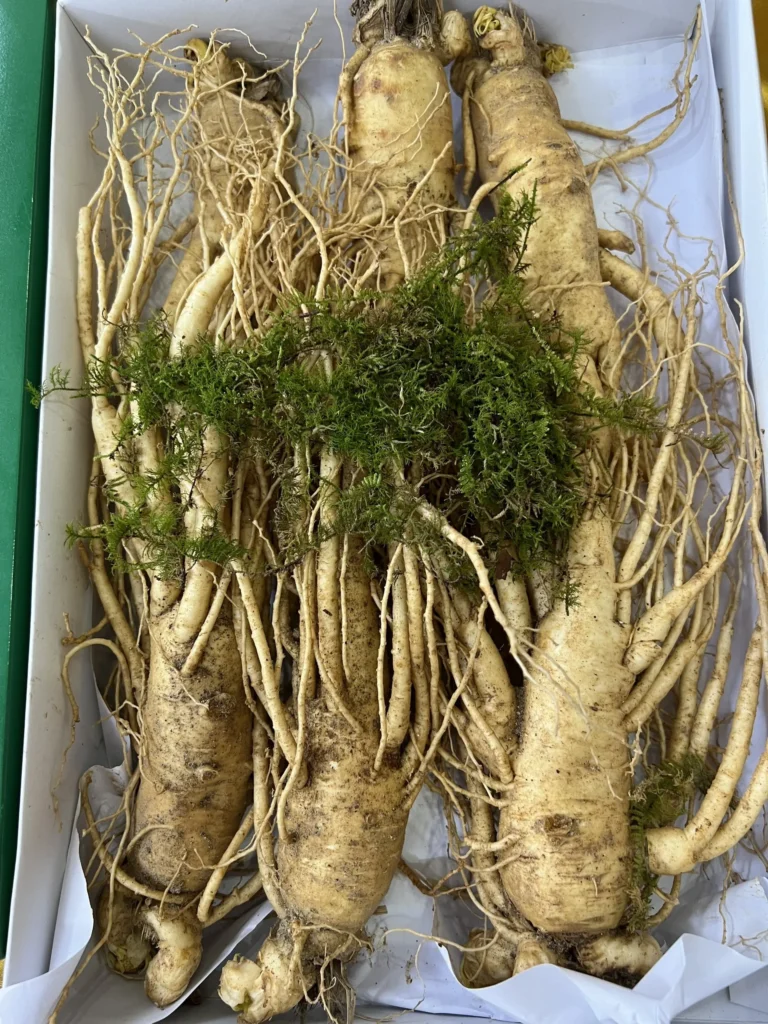 Z3459612176431_a99b18d8321ea5bcfdaaa62d1348bbfe 2