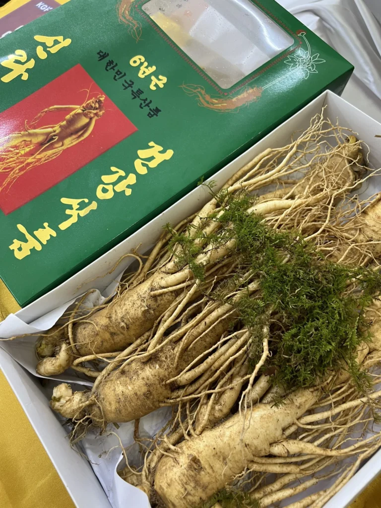 Tại Sao Hồng Sâm Hàn Quốc 6 Năm Tuổi Là Loại Tốt Nhất? 7 Z3459612180516_e0aee6076e4955827c7ef7e430897cbe 2