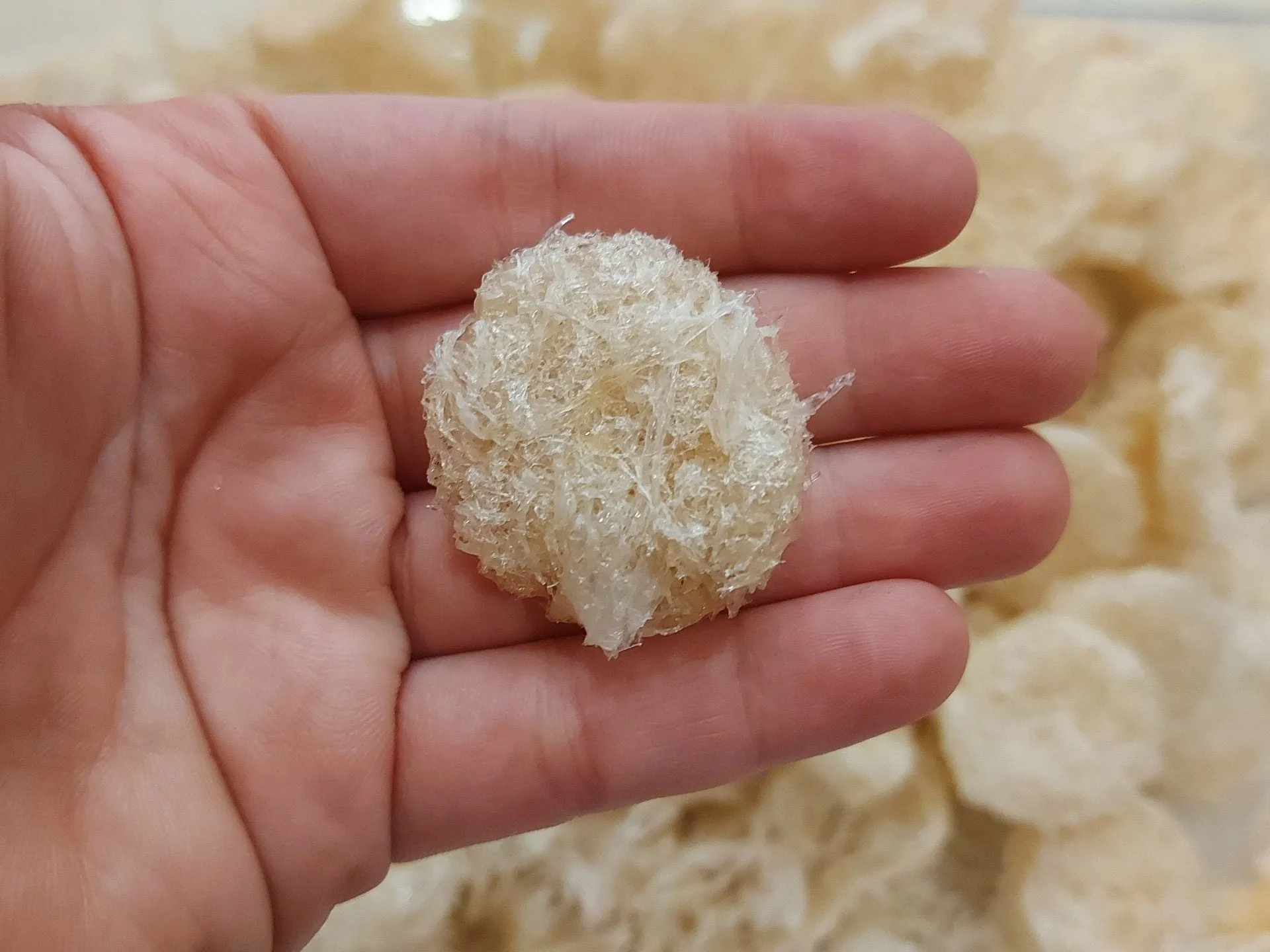 Tác dụng của tổ yến có thể bạn chưa biết 16 Mua tổ yến ở đâu?