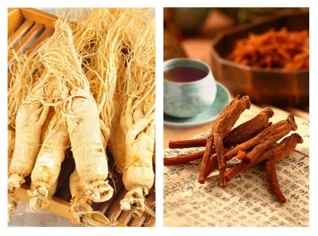 Phụ nữ uống hồng sâm Hàn Quốc có gây tăng cân không? 10 Image 10