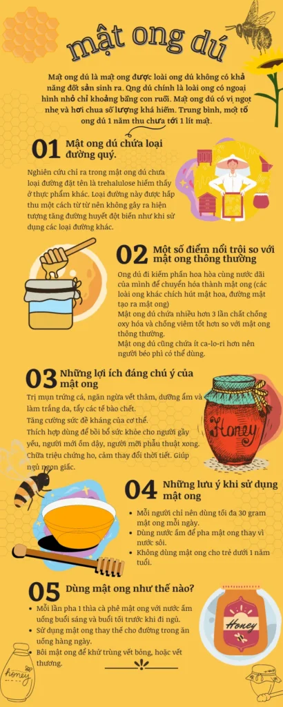 MẬT ONG DÚ LÀ GÌ ? 3 Mat Ong Du Khanh Hoa