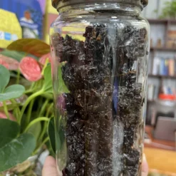 Z3925650092885_21d9d9c10ae516ef8a07aed2848df536