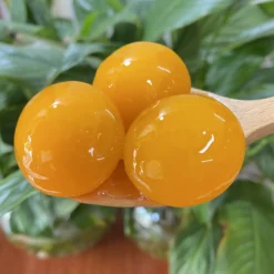 Z4564837880981_0b95b7c9606ee8252df0134a029691b8