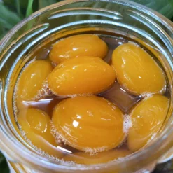 Z4601536688273_2dc95ae3161642eaadc560177896c825