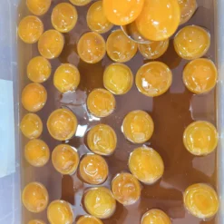 Z5363659807857_5c6da022ed9276a7b06cfc8490278a52