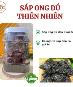Tổ ong rú thiên nhiên 13 Z6835744843896_9728a2153b65d87034b66863308e8f07