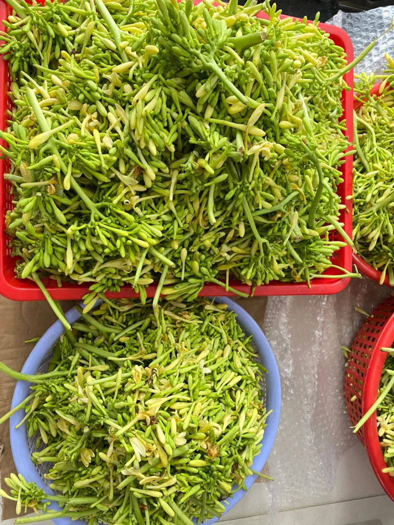 Tác dụng và cách làm hoa đu đủ đực ngâm mật ong 6 Image 1