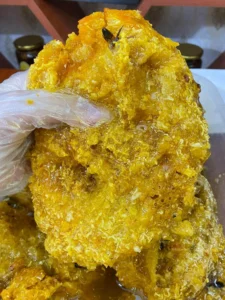 350360081_809944213645255_8388350569907421226_n 1