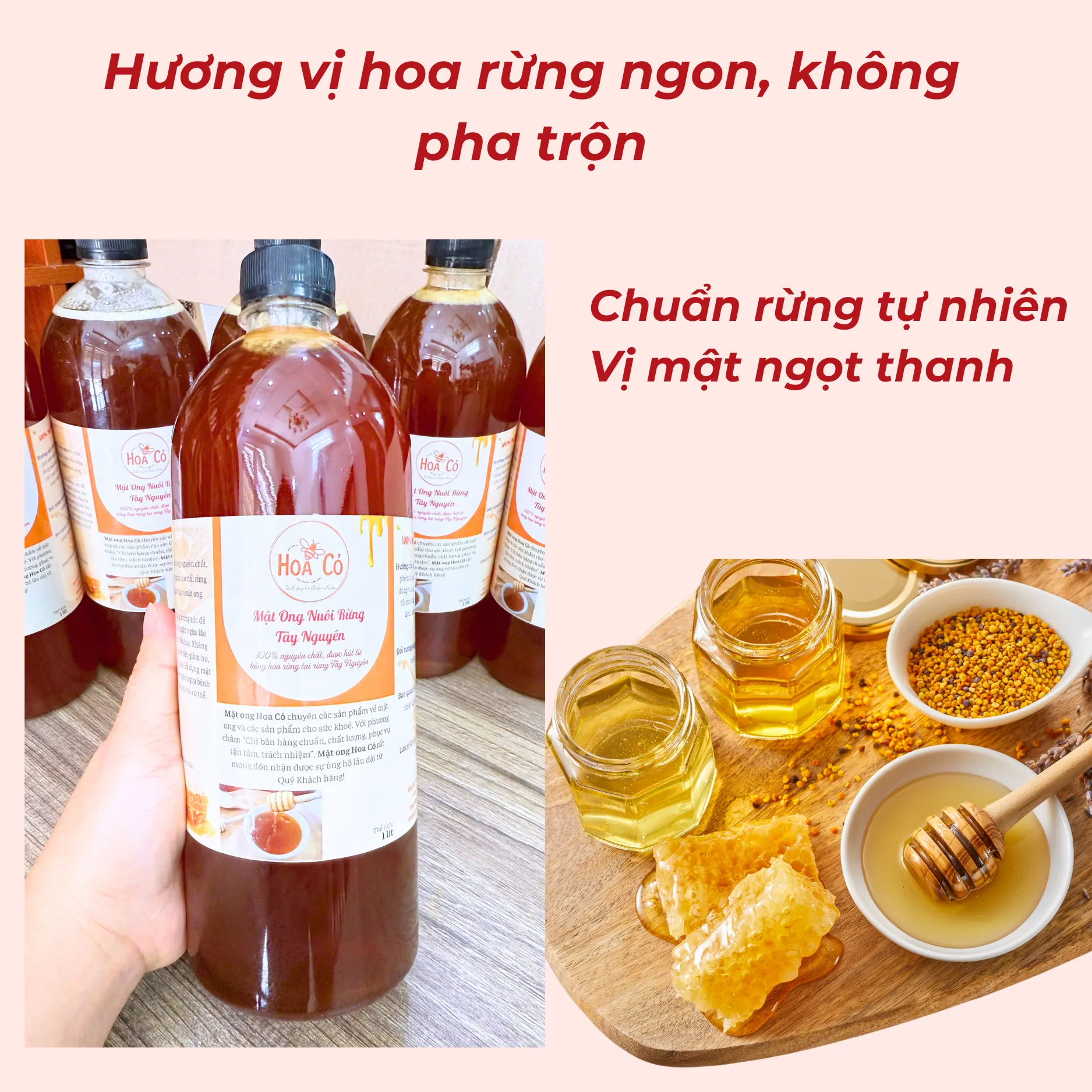 Mật ong hoa rừng Tây Nguyên, hương vị hoa rừng vị ngọt thanh nhẹ 4 Combo 3 Lít Mật Ong Hoa Rừng Tây Nguyên (1)