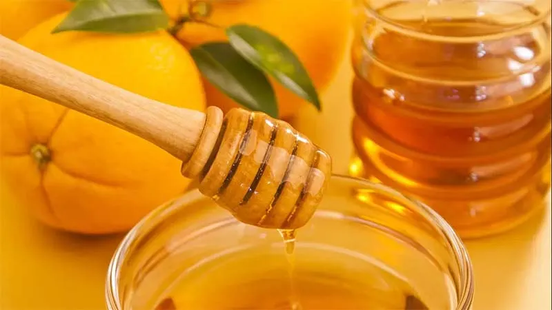 NGƯỜI GIÀ UỐNG MẬT ONG CÓ TỐT KHÔNG? TÁC DỤNG CỦA MẬT ONG VỚI NGƯỜI GIÀ 20 Image 133