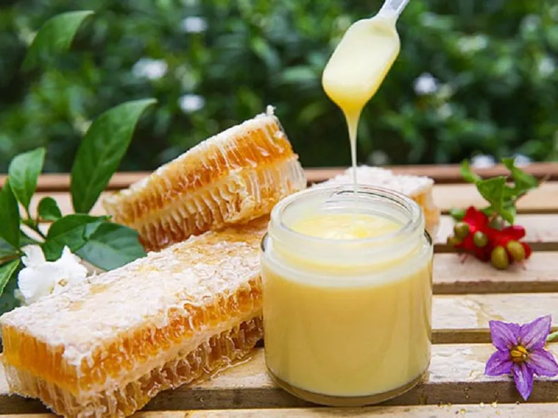 LỢI ÍCH CỦA SỮA ONG CHÚA ĐỐI VỚI PHỤ NỮ, NAM GIỚI VÀ NGƯỜI LỚN TUỔI 18 Image 140