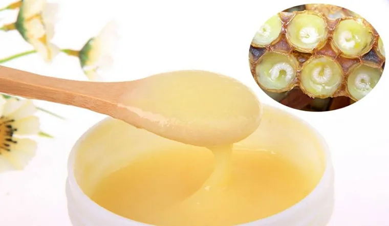 Nam giới nên dùng sữa ong chúa - tại sao ? 7 Image 5