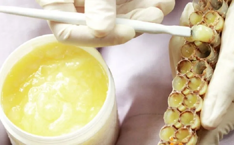 Nam giới nên dùng sữa ong chúa - tại sao ? 8 Image 6