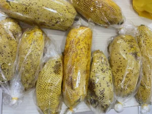 Z3916364713065_5995ed9beb051c616225e57c0b470046