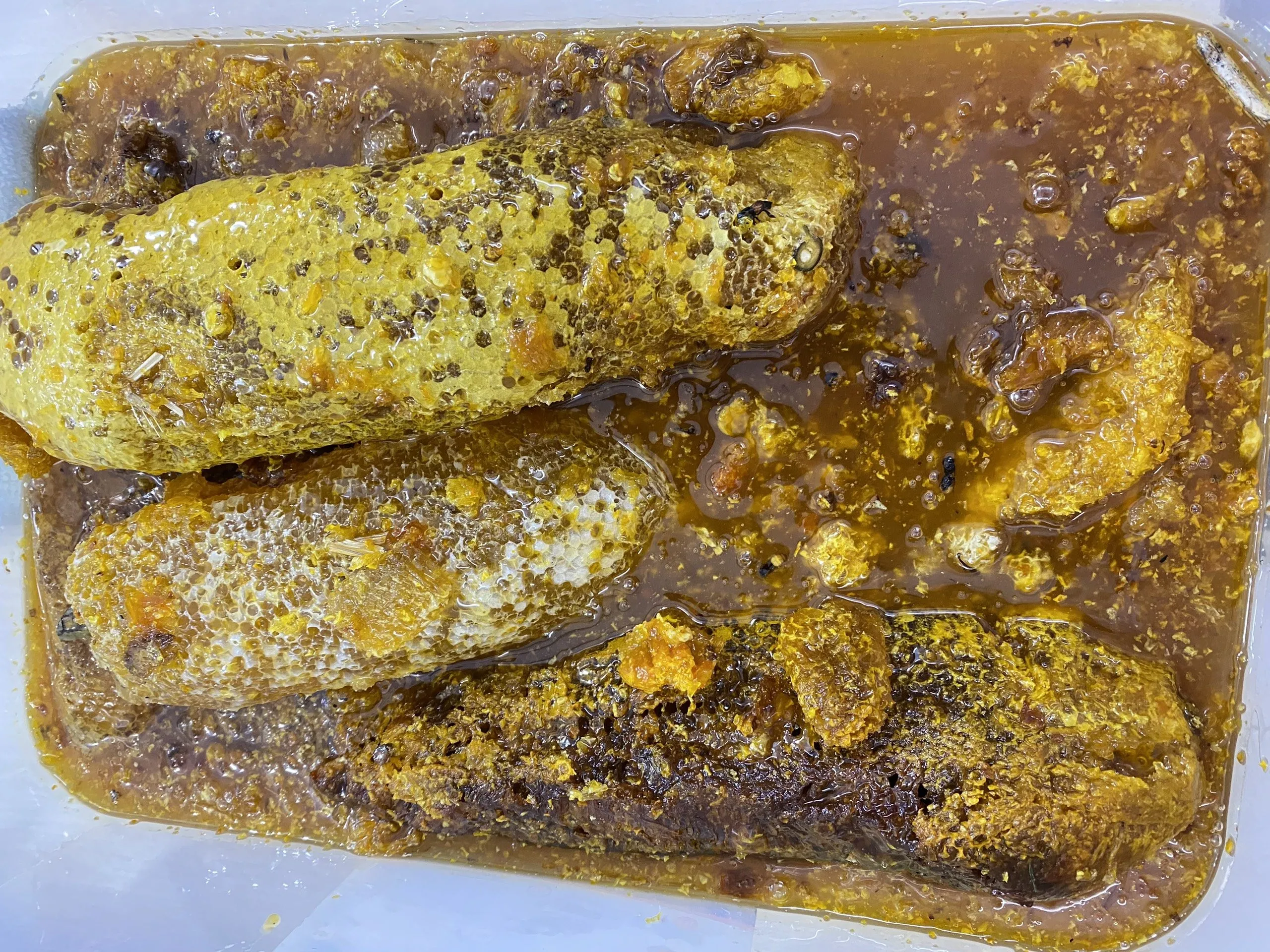 TẠI SAO MẬT ONG LẠI CÓ HIỆN TƯỢNG LÊN GA? MẬT ONG NHIỀU GA CÓ TỐT HAY KHÔNG? 17 Z4113666774865_ca2275dc54685120b9f24b093ee23c71