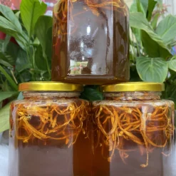 COMBO 3 LÍT ĐÔNG TRÙNG HẠ THẢO NGÂM MẬT ONG RỪNG