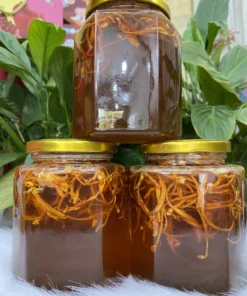 COMBO 3 LÍT ĐÔNG TRÙNG HẠ THẢO NGÂM MẬT ONG RỪNG