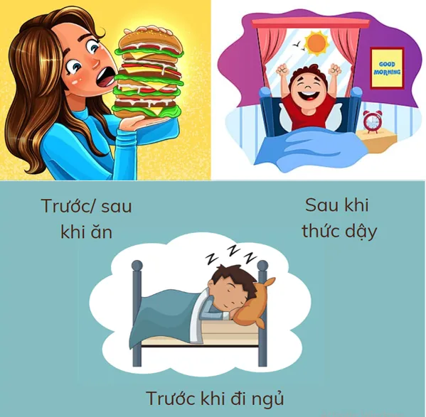 TÁC DỤNG CỦA VIÊN NGHỆ MẬT ONG 15 Tùy vào mục đích mà sử dụng viên nghệ mật ong vào những thời điểm khác nhau