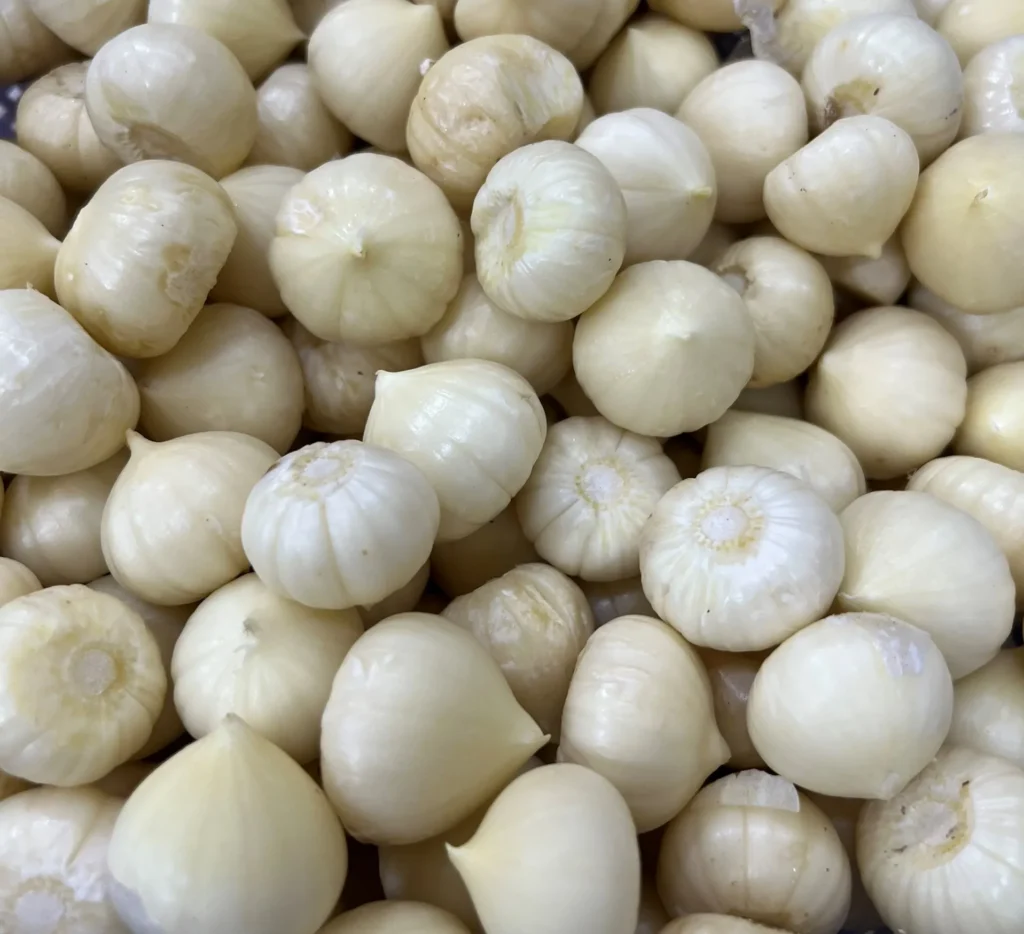 LỢI ÍCH CỦA TỎI NGÂM MẬT ONG ĐỐI VỚI SỨC KHỎE 20 Tỏi ngâm mật ong giúp kháng khuẩn