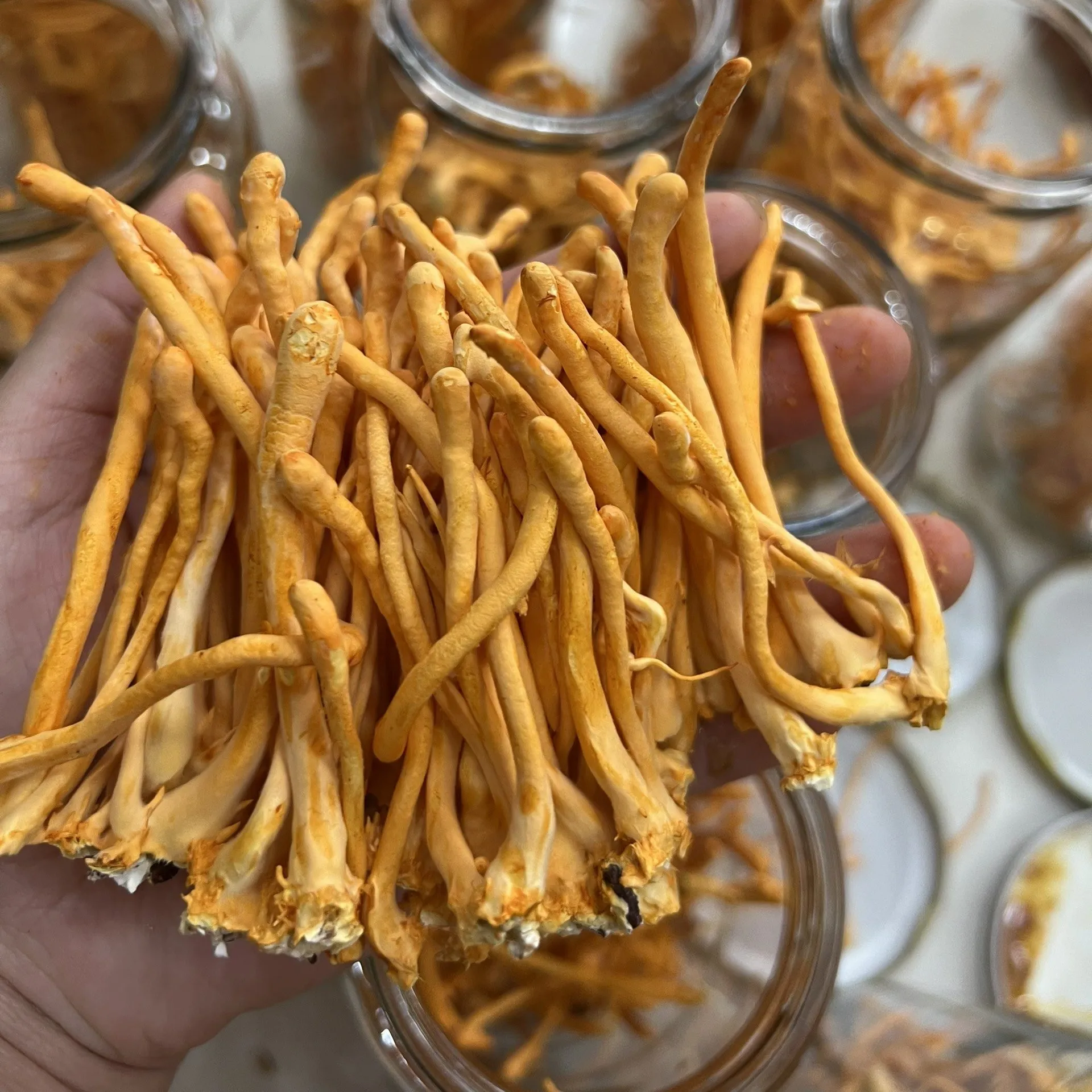 Z4024501693106_7c31bf97d02098706452755eb76bee1e