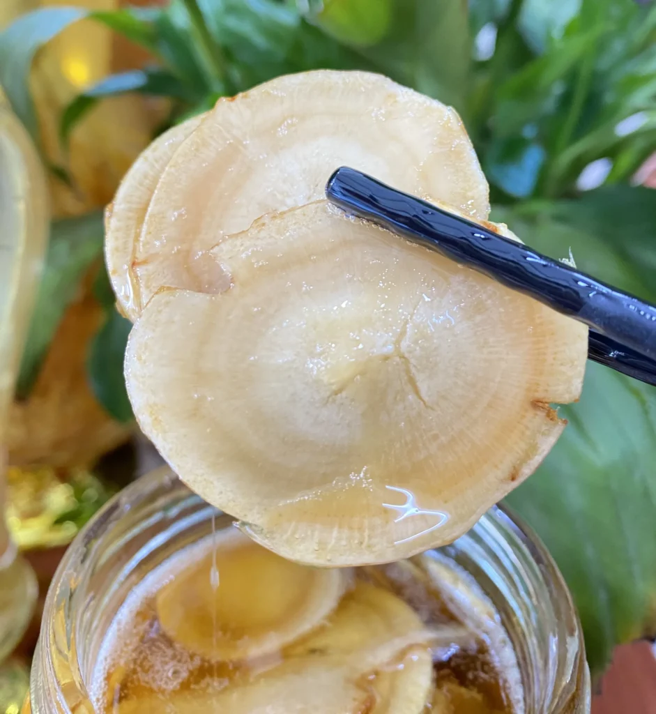 NHÂN SÂM HÀN QUỐC NGÂM MẬT ONG CÔNG DỤNG VÀ CÁCH SỬ DỤNG 23 Z4498209250228_abba7fd744c53ea77da26a58ac297ac9