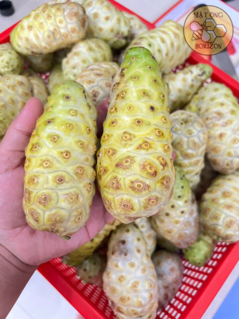 Z5045519814159_c1ce1e6dc0cca268c4db7c61ee9d942d 2