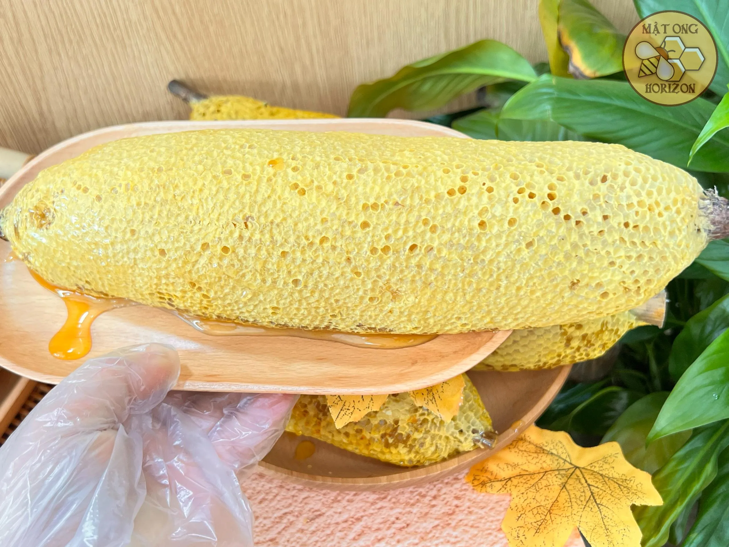 Tổ ong ruồi thiên nhiên 6 Tệp 28