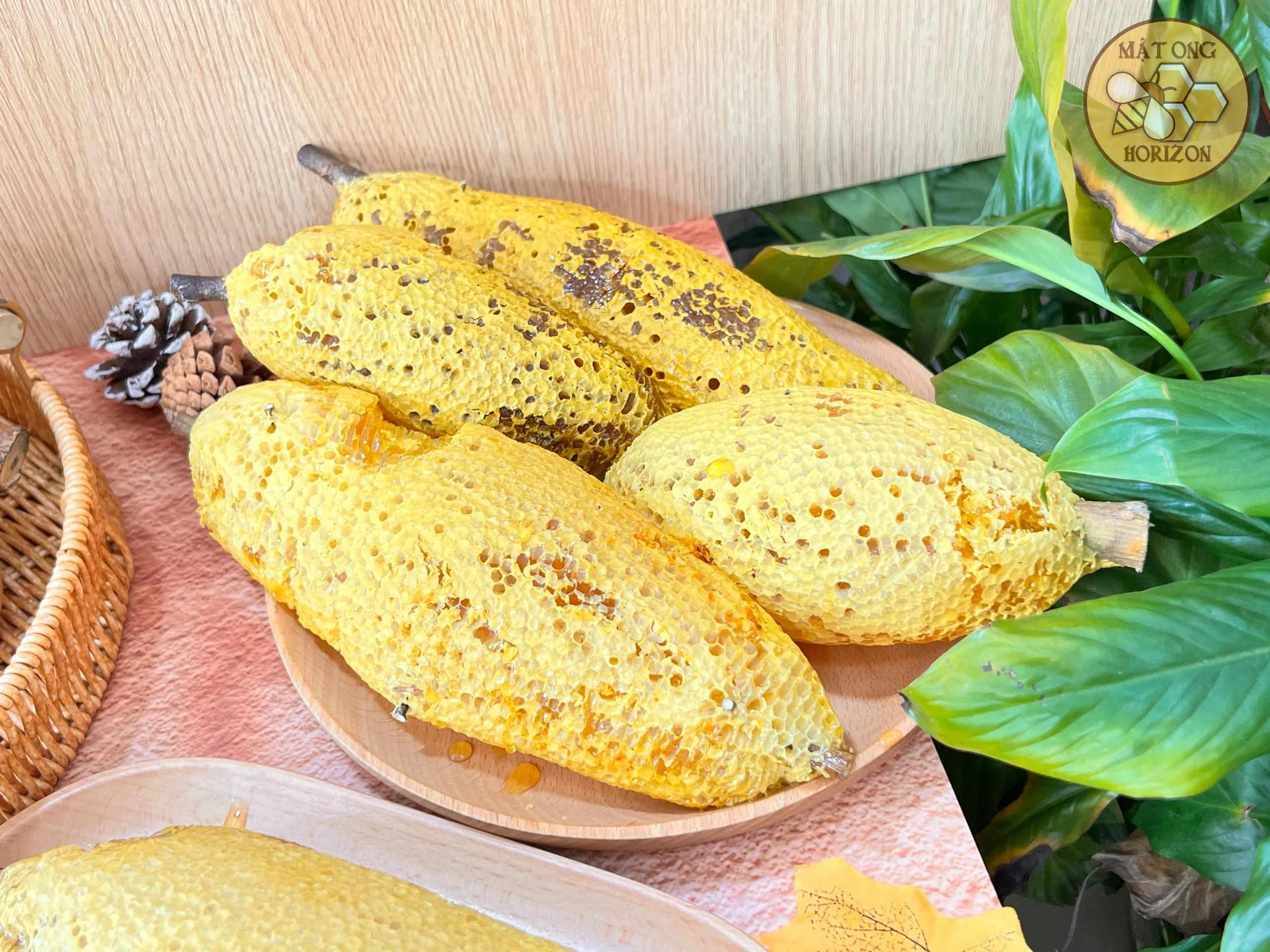 Tổ ong ruồi thiên nhiên 5 Tệp 33