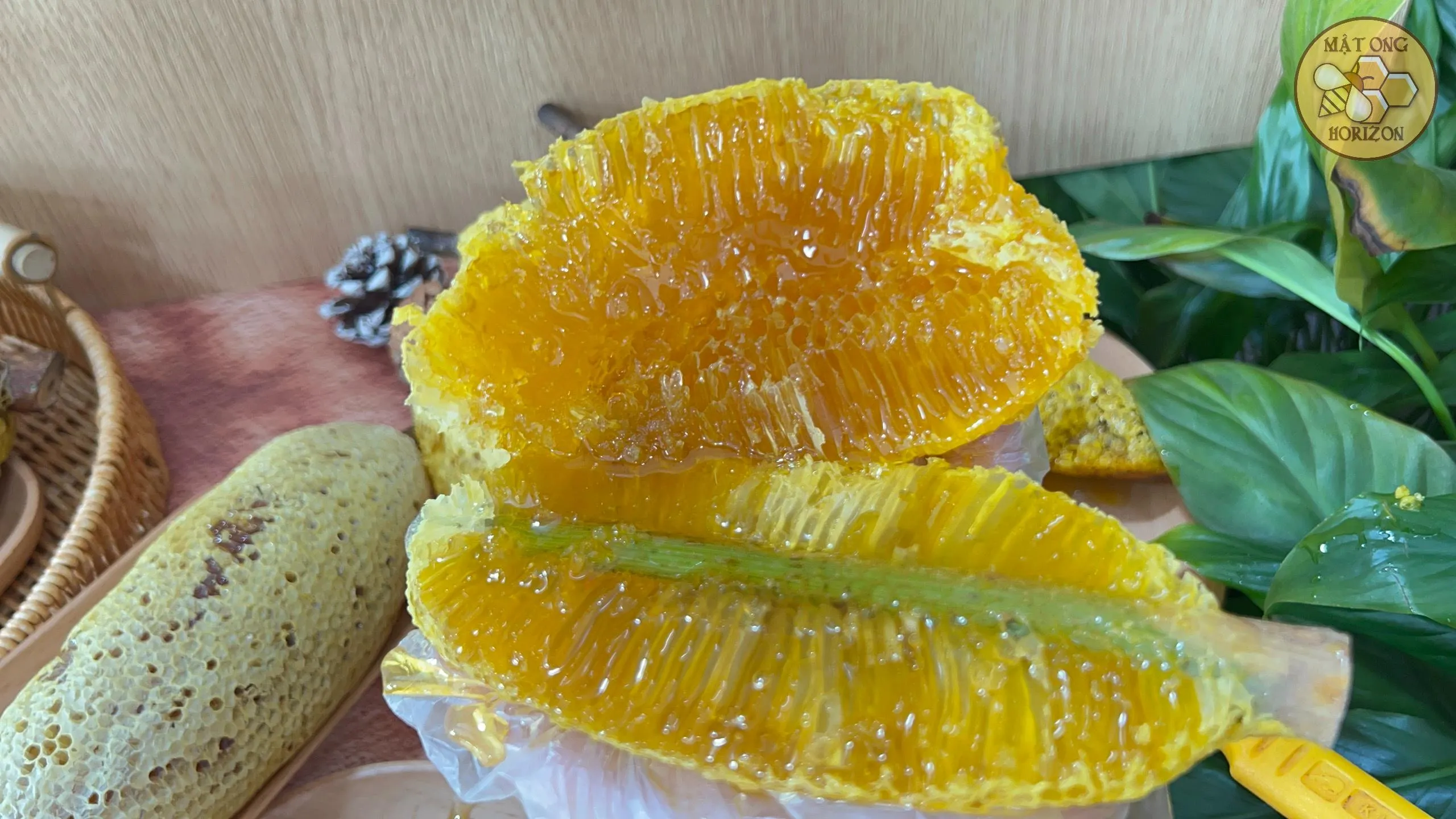 Tổ ong ruồi thiên nhiên 7 Tệp 81