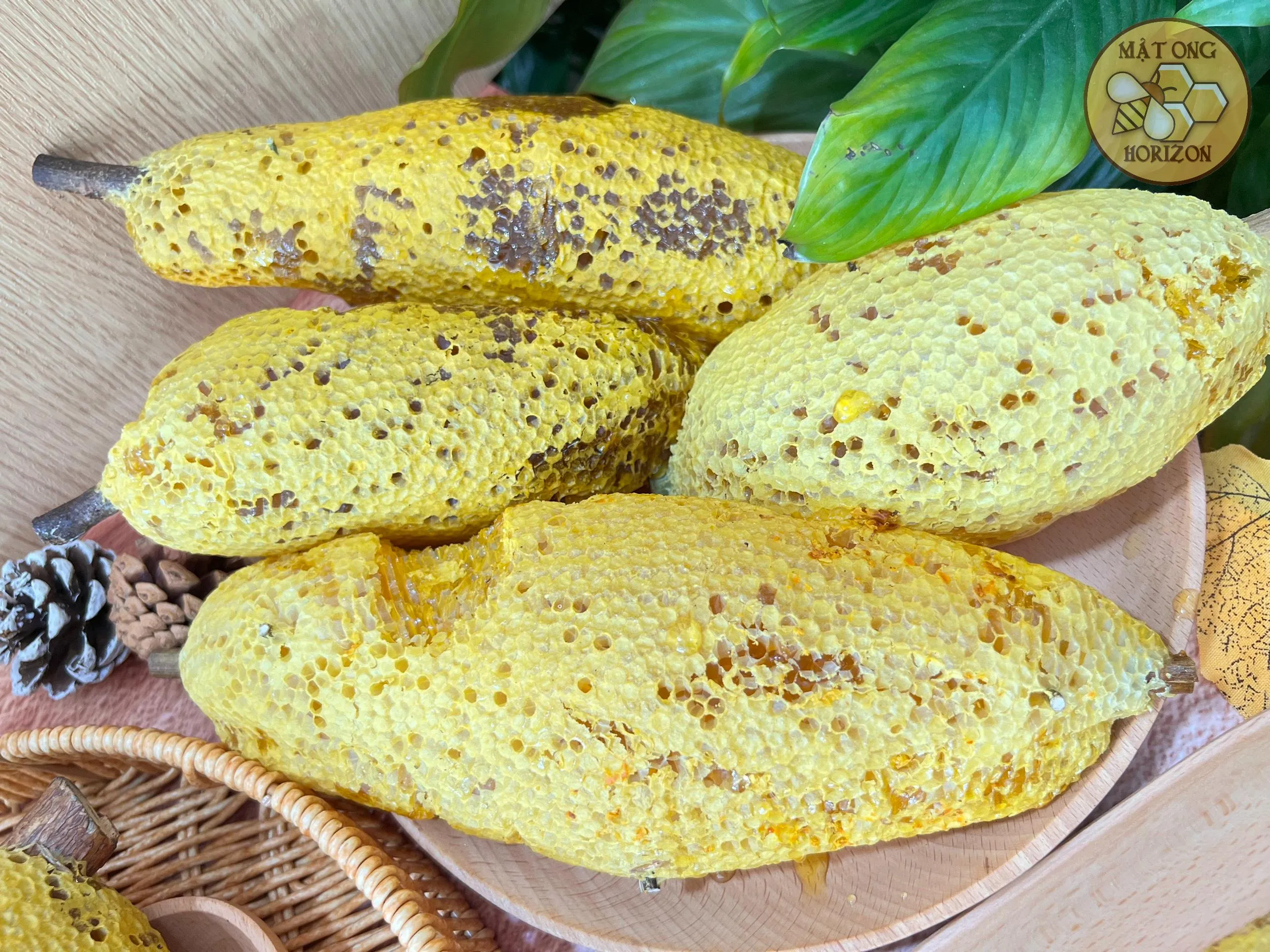 Tổ ong ruồi thiên nhiên 8 Tệp 50